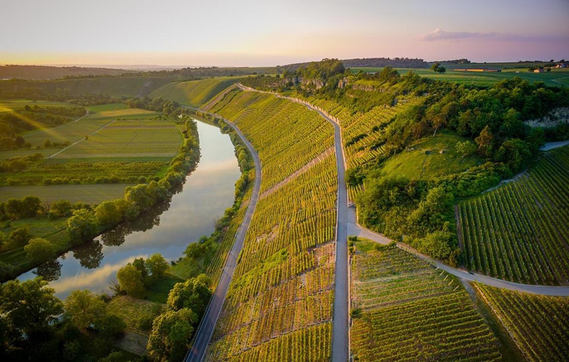 Exnicrum Wein . Genuss . Hotel Hessigheim المظهر الخارجي الصورة